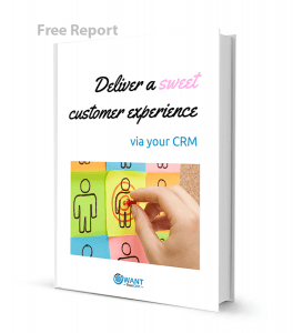 Customer Experience report example