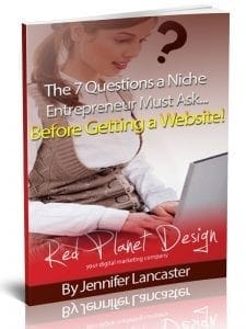 7 questions niche entrepreneurs report